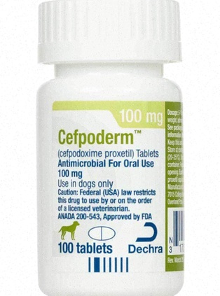 cefpodoxime
